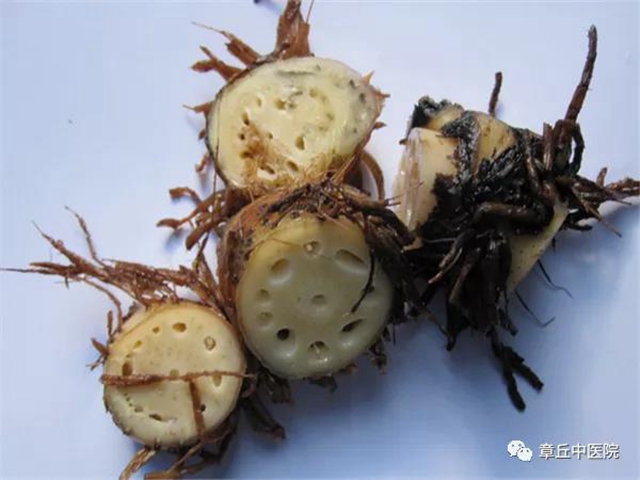 济南护理职业学院