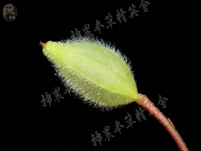 济南护理职业学院