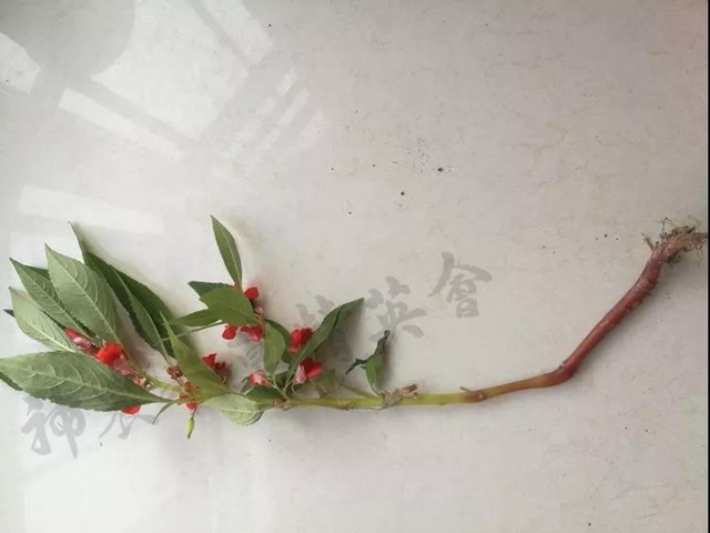 济南护理职业学院